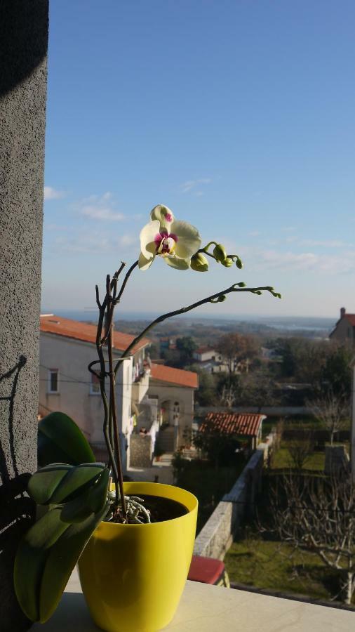 Sunrise Penthouse Apartman Lägenhet Ližnjan Exteriör bild